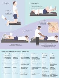 Image result for Low Back Standing Exam