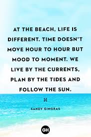Quotes About Beach Clean Up Beach Clean Up Youtube Dogtrainingobedienceschool Com