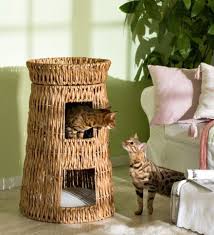 Silvio Design Dan Kedi Mobilyalari Kedi Evi Kedi Hobi