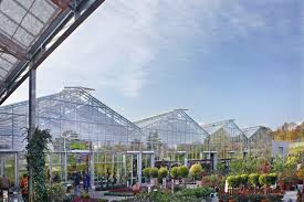 Gartencenter Herde Dortmund Solde Steverding Gewachshausbau Gmbh Für unser gartencenter in soest suchen wir ab dem 01.05.2021 einen: