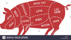 cuts of meat pig pork butcher shop vector illustration