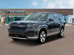 Image result for Phantom Black 2024 Santa Cruz