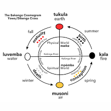 Image result for Coniogramme africana