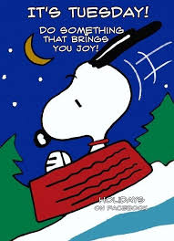 .happy tuesday with hanuman ji images, happy tuesday cartoon sketch cow images, happy tuesday my love images, december good morning happy tuesday images, silly happy tuesday. Tuesday Cartoon Quotes Quotesgram