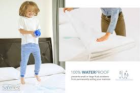 The following facts about bedbugs will, hopefully, help you feel better prepared in case you ever encounter the pests. Amazon Com Saferest Premium Lab Certified Bed Bug Proof Zippered Mattress Encasement Waterproof Hypoallergenic Breathable Noiseless And Vinyl Free Fits 9 12 In H Queen Size Home Kitchen