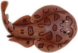 Image result for electric ray