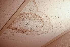 And requires special care since it has to be disturbed during the removal process, causing the asbestos fibers to become loose in the air. Ways To Identify Asbestos Ceiling Tiles Boggs Inspection Services