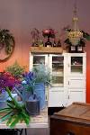 Small Country Style Kitchens FORD
