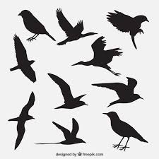 Ptica Siluety Paket Bird Silhouette Silhouette Art Silhouette