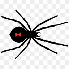 5 out of 5 stars. Free Black Widow Spider Png Png Transparent Images Pikpng