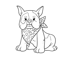 Colors not allowed by the akc are because dogs bred in those colors carry genetic defects and traits harmful to our breed. French Bulldog Coloring Page Coloringcrew Com
