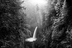 Contemplation, waterfalls, waterfall, forest, oregon, wall art, landscape, photography, photo, nature, photo, print, metlako falls