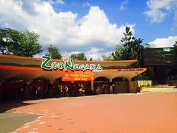 Beli baucar ni dan tebus di zoo negara, kaunter 6 nnt! Cara Pergi Ke Zoo Negara Malaysia