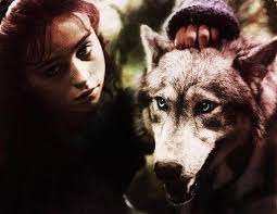 The Company Of Wolves Photo Rosaleen And The Huntsman Werewolf Wolf Movie Werewolf Wolf Photos
