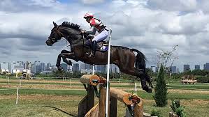 Cross country | rio 2016 replays. Tokyo 2020 Countdown Olympic Team Slots Lost And Cross Country Course Shortened H H Plus Horse Hound