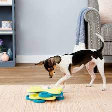 Maybe you would like to learn more about one of these? 18 Best Food Puzzles For Cats And Dogs The Strategist