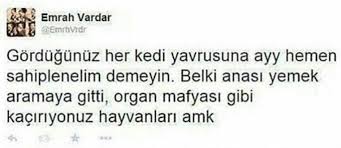 Sevdamm Sen Ya Da Hic Adli Kullanicinin Karikaturize Panosundaki Pin Goruntuler Ile Komik Alintilar Komik Seyler Komik