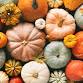Fall Festival and Trunk or Treat! event in Barco, NC