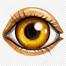 Ojo De Dibujos Animados Vector PNG Imágenes Gratis - Lovepik