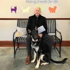 Welcome to dotus fan community. Biden Says His Dog Major Will Return To The White House After Biting Incident Bbc News