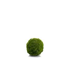 Maybe you would like to learn more about one of these? Artificial Moss Ball Merida Green O15cm