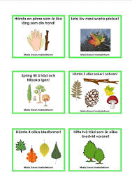Version 369167ab609c822ab92fb97f72656a11 1024 1448 Forskoleaktiviteter Foreskoleaktiviteter Skolaktiviteter