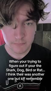 #shark #dog #bird #rat #ratboy #ratmen #sharkmen #birdmen #dogmen  #indierock #girlypop #makingfaces