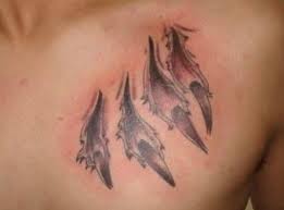 In case of itching, you can apply some. 12 Scratch Mark Tattoos Tiger Tattoo Designs Petpress