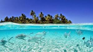 Resultado De Imagem Para Tuvalu Oceania Travel Beautiful Beach Pictures Maldives