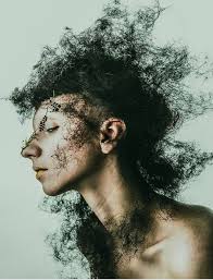 Scott Sheehy (scott_sheehy)