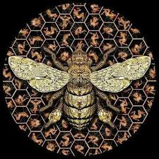 At The Temple Of Aphrodite At Eryx Priestesses Were Called Melissae Which Means Bees And Aphrodite Herself Was Called Melissa Bee Art Bee Bee Inspired