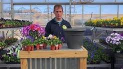 We have installed landscapes for many years in all areas of the des moines metro, including west des moines, des moines, waukee, clive, urbandale, johnston, ankeny, altoona, indianola, and norwalk. Ted Lare Garden Center Youtube