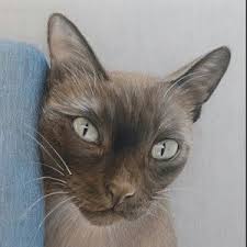 Custom Dog Portrait 8 X 10 Colored Pencil Art By Carla Kurt Etsy Cat Has Fleas Why Do Cats Purr Custom Dog