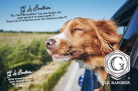 G Le Barbier 96 Bis Avenue Gambetta Maisons Alfort 2020