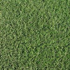 Check spelling or type a new query. The Grass Patchzeon Zoysia The Grass Patch