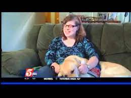 Can i get a service dog for anxiety? Super Service Dog Detects Owner S Low Blood Pressure Youtube