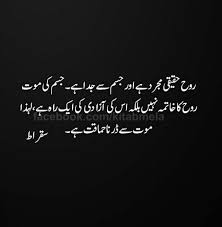 Suqrat Urdu Funny Quotes Wisdom Quotes Urdu Quotes