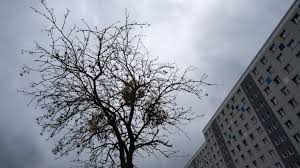 Und ja, theoretisch kannst du diese optimierung auch für andere suchmaschinen, wie z.b. Niederschlagsarmer Winter In Berlin Lasst Trockenen Sommer Erwarten Rbb24
