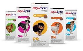 Check spelling or type a new query. Bravecto Reviews Is It Safe For Dogs Learn About The Side Effects Consider Alternatives Faqs Caninejournal Com