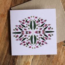 These flowers mean loyalty, devotion and lasting friendship. Australian Flora Cards Jax And Co