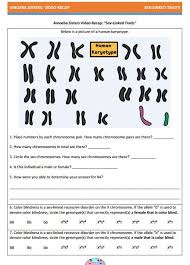 Monohybrid cross problems worksheet printable worksheets and activities for these pictures of this page are about:amoeba sisters monohybrid crosses answers. 29 Amoeba Sisters Handouts Ideas Handouts Kindergarten Worksheets Sight Words Middle School Lesson Plans