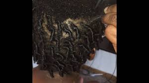 · 7 secret tips to grow dreads with short hair develop a hair regime. How To Start Dreads With Short Hair Tips And Tricks Htwdreads
