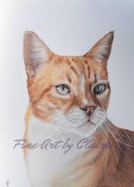 Makes a perfect wedding gift, too! Fine Art By Claire Custom Pet Portraits Adopt A Pet