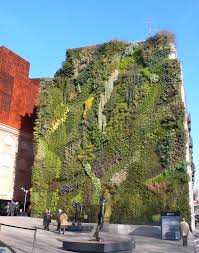 Breathe™ is a (patent pending) simple system for incorporating plants into dirtt walls. Green Walls In Cities Novocom Top