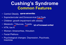 Adrenal Gland Excess And Tumors Flashcards Quizlet
