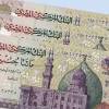 أحتفالات الجالية المصرية فى نيويورك بأفتتاح قناة السويس الجديدة | صدى البلد. 1