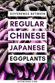 We did not find results for: Japanese Eggplant What Is It 6 Delicious Recipes You Can Make