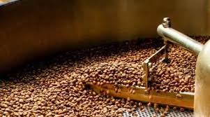 Image result for Coffea zanguebariae