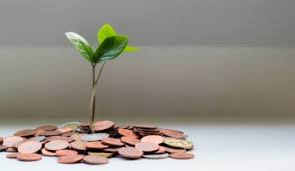El primer capital semilla que recibe un emprendedor suele ser de familiares o amigos, sin embargo, el estudio adelantado por la universidad de los andes señala ángeles inversionistas. Capital Semilla Guia Definitiva Para Startups Inversionistas Startupeable