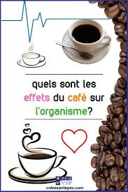Alors Quels Sont Les Effets Du Cafe Sur L Organisme La Sante Naturellement Cafe Vert Pour Maigrir Calendrier Fruits Et Legumes Aliments Alcalinisants